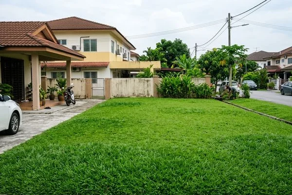 After: Fertilising & Weed Control transformation