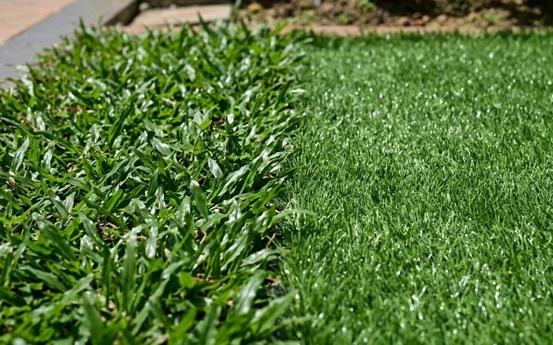 Natural grass blades compared with artificial turf texture in an outdoor setting
